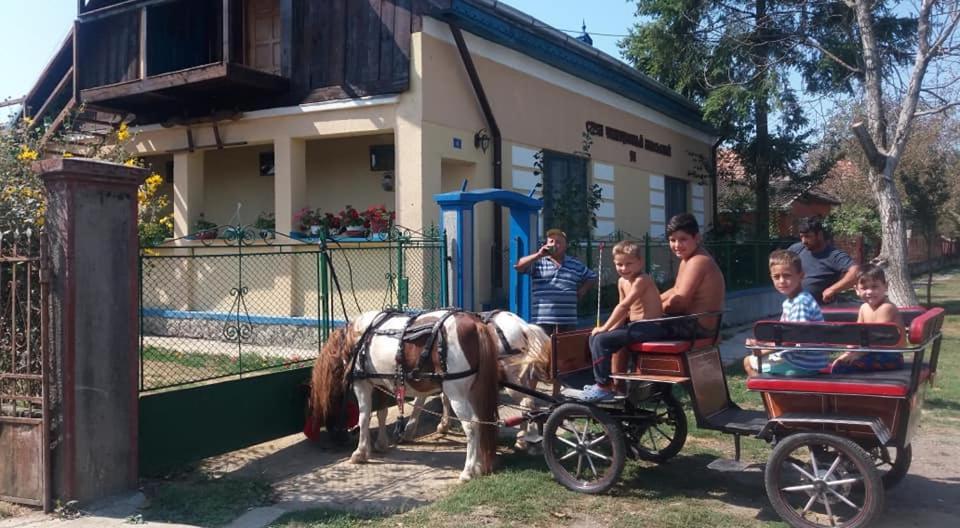Casa Traditionala Ardeleana Madaras  Exteriér fotografie