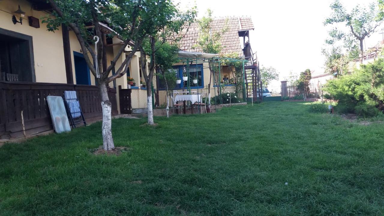 Casa Traditionala Ardeleana Madaras  Exteriér fotografie