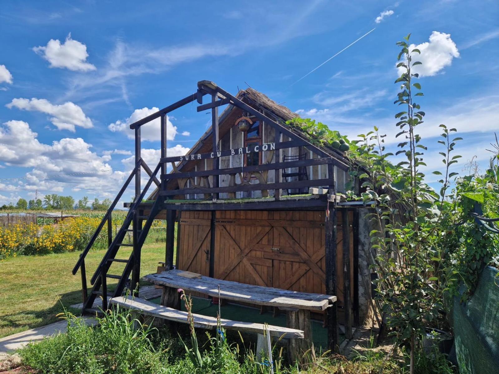 Casa Traditionala Ardeleana Madaras  Exteriér fotografie